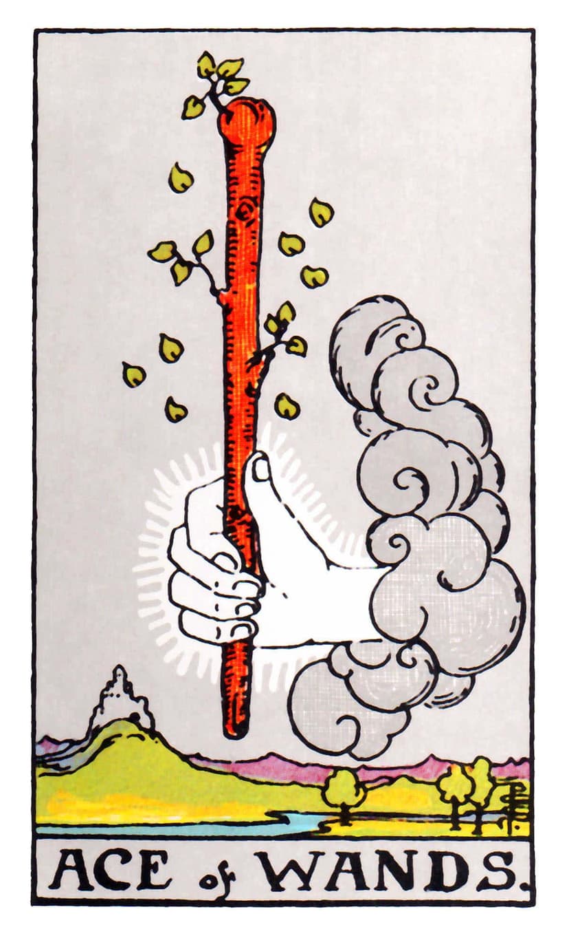 權杖一|太陽塔羅日誌 權杖一|太陽塔羅日誌