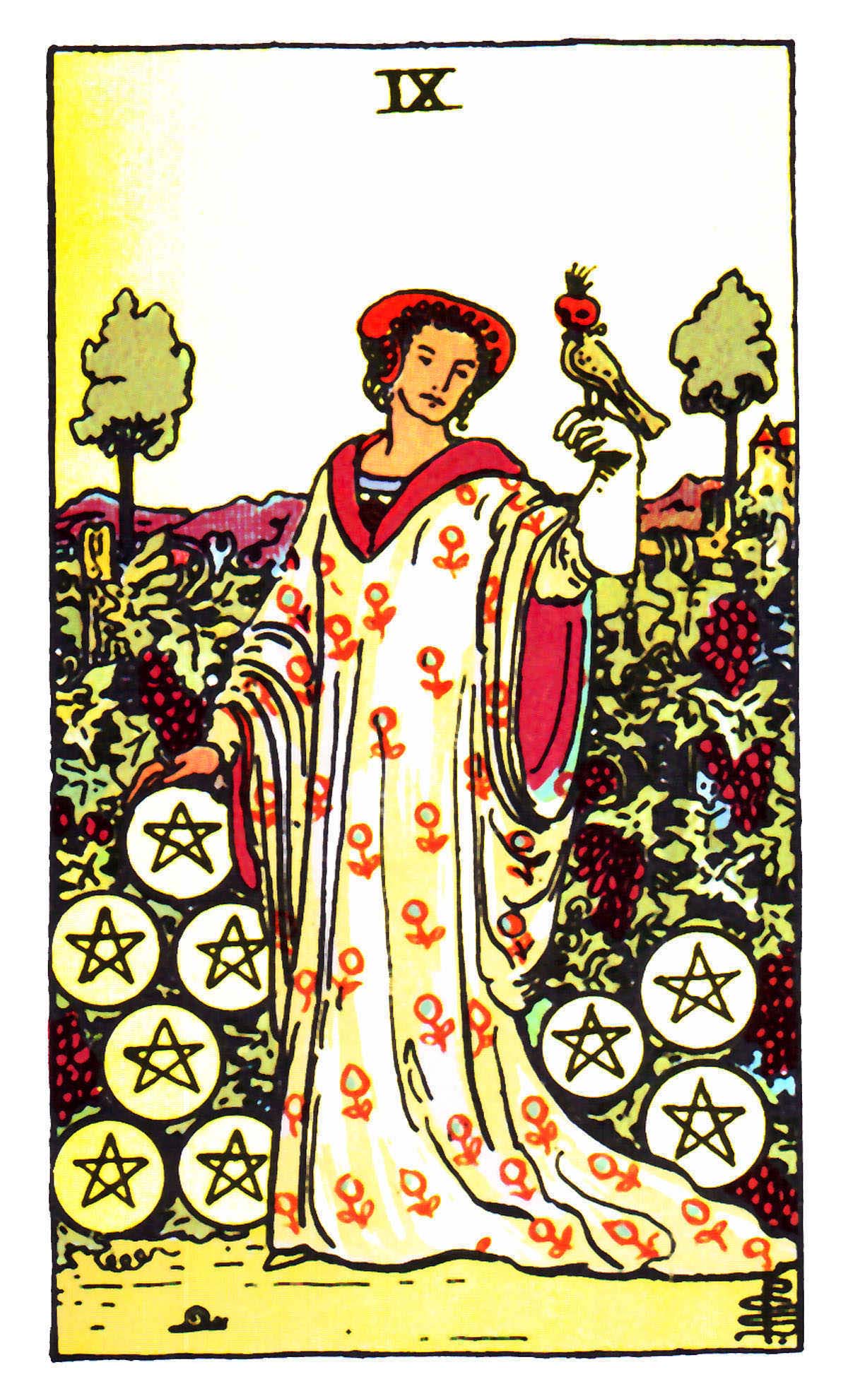 星幣九(金幣/錢幣九) Nine of Pentacles 牌面解讀